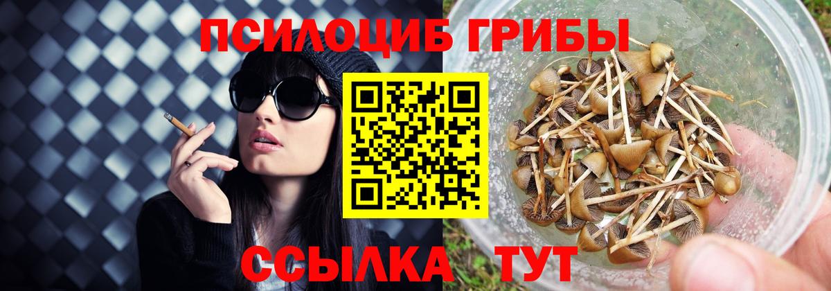 Псилоцибиновые грибы прущие грибы Новочебоксарск